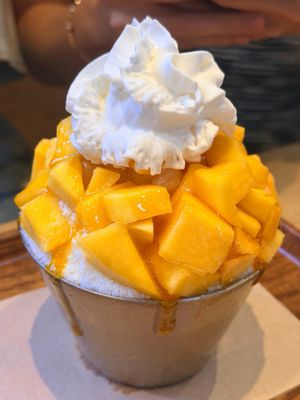 Snowy Village - West Parmer Ln by null