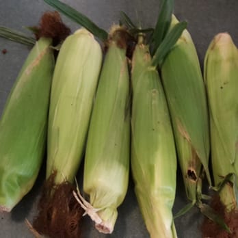 Athens Farmer's Market - Non-GMO corn from the Farmer's Market !! - Farmers Market Near Me - Athens, Texas Athens Farmer's Market - Non-GMO corn from the Farmer's Market !! - Farmers Market Near Me - Athens, Texas