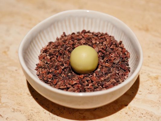 Ritual at Manresa by null