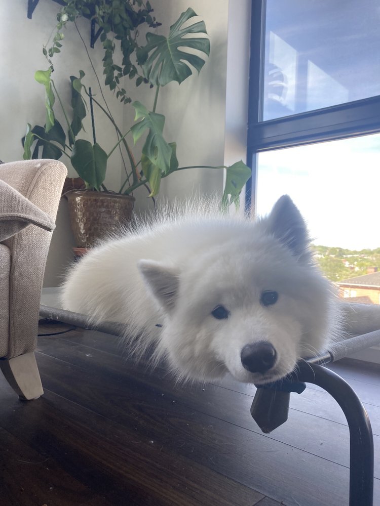 HEREFORD BED AND BISCUIT Updated October 2024 63 Photos & 11