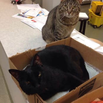 Bartlett Animal Hospital - Veterinarians Near Me - Bartlett, Illinois Bartlett Animal Hospital - Veterinarians Near Me - Bartlett, Illinois
