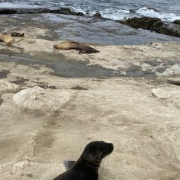 Such a cool spot! Made a new friend!