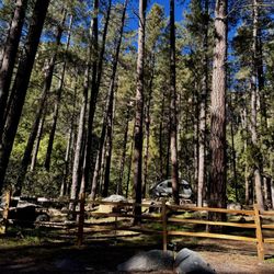 Coconino National Forest