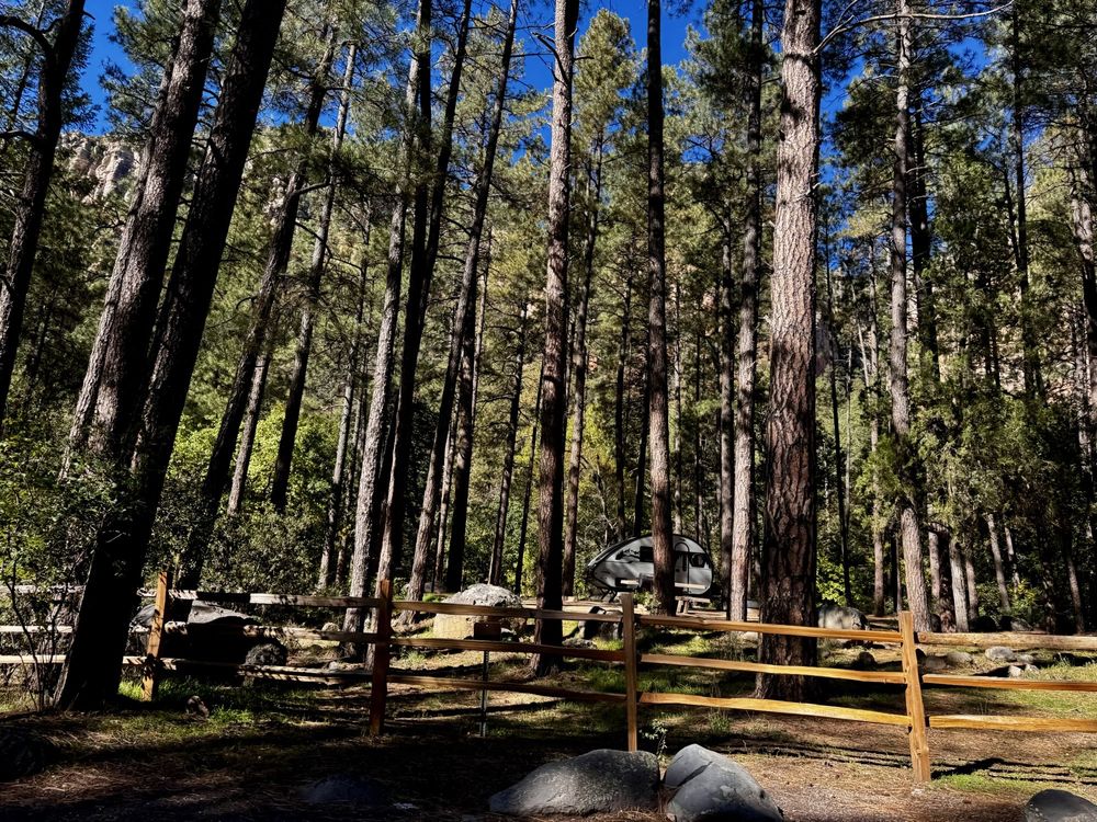 Coconino National Forest - social services organization in Flagstaff, AZ