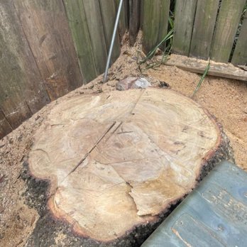 Budget Pro Remodeling - Now everyone is happy. I love my job! Call me to get the best price on tree cutting service and we also do fences! - Tree Services Near Me Budget Pro Remodeling - Now everyone is happy. I love my job! Call me to get the best price on tree cutting service and we also do fences! - Tree Services Near Me