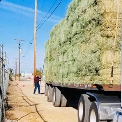 Hesperia Feed Bin - Hay delivered on the regular!