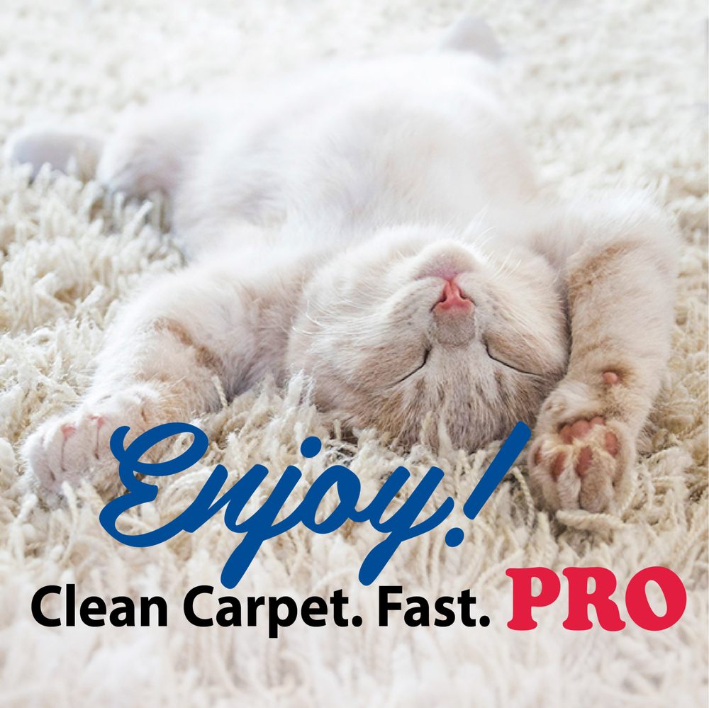 PROFESSIONAL CARPET & UPHOLSTERY CLEANERS Updated April 2024 22