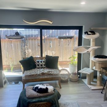 Purrrisima Cat Boarding - Pet Boarding Near Me - San Rafael, California