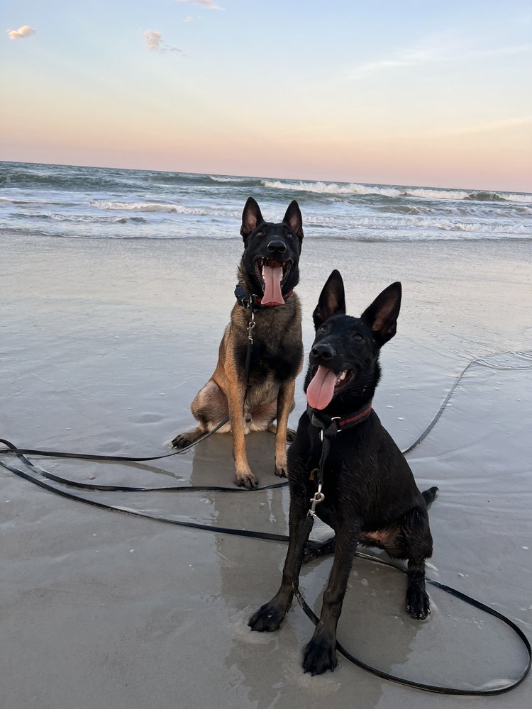 American Beach Image