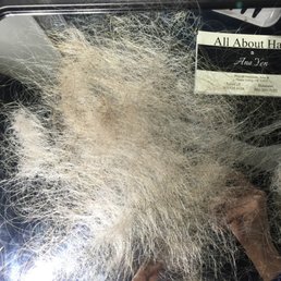 This is the hair I lost. This is the hair I lost.