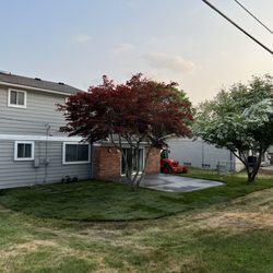 RTB Outdoor Services - Now we just have to wait for the grass to blend, ps. The customer accidentally killed the grass in her whole yard during the project