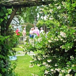 Bull Inn - A secluded part of the Bull Inn garden