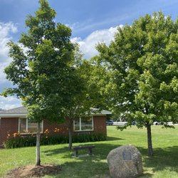 County Line Tree Farm