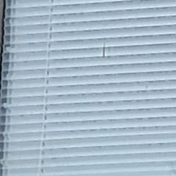 Boardwalk Realty & Management - The blind we were charged $100 for damage to.