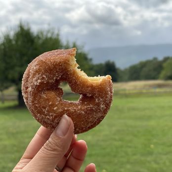 Jones Farm & Country Store - Maybe one of the best apple cider donuts I've ever had - Bakeries Near Me - Cornwall, New York Jones Farm & Country Store - Maybe one of the best apple cider donuts I've ever had - Bakeries Near Me - Cornwall, New York