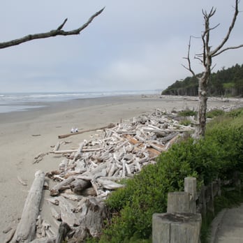 Thunderbird Travel - Beaches of Washington in the Pacific Northwest - Travel Services Near Me - Murphysboro, Illinois Thunderbird Travel - Beaches of Washington in the Pacific Northwest - Travel Services Near Me - Murphysboro, Illinois