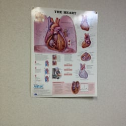 James Pfister, MD - The heart