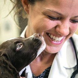 Canyon View Cares Veterinary Hospital