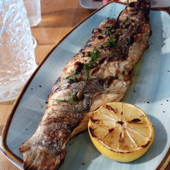 Simply Greek - Bronzina - Greek Near Me - Brooklyn, New York Simply Greek - Bronzina - Greek Near Me - Brooklyn, New York