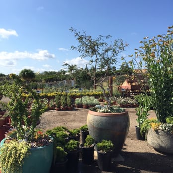 Waterwise Botanicals - Nurseries & Gardening Near Me - Bonsall, California Waterwise Botanicals - Nurseries & Gardening Near Me - Bonsall, California