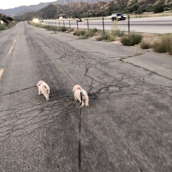 Pyramid Lake RV Resort - Enjoying a Good morning walk with the girls! - RV Parks Near Me - Gorman, California Pyramid Lake RV Resort - Enjoying a Good morning walk with the girls! - RV Parks Near Me - Gorman, California