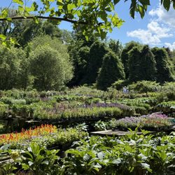 Brookville Nurseries