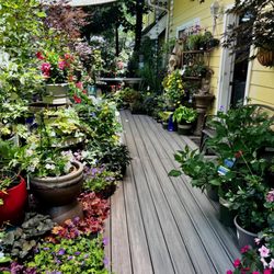 Village Nursery - The entrance to the indoor boutique and gift shop