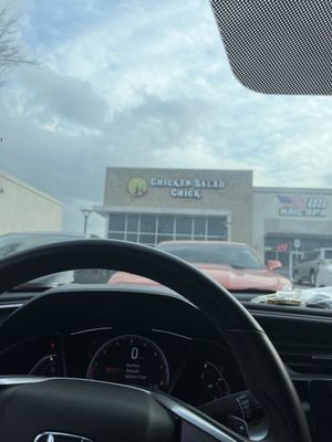 Chicken Salad Chick by null