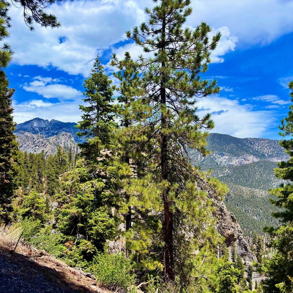 Cathedral Rock - Hiking Near Me - Mt Charleston, Nevada