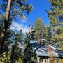 Photo of Great Basin Tree Care