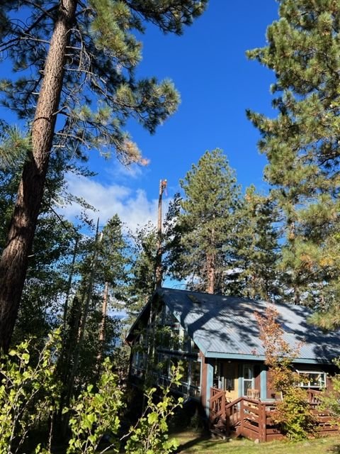 Great Basin Tree Care - tree service in Reno, NV