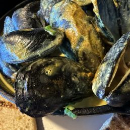 Mussels Mussels
