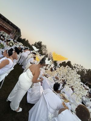 Buffalo Bayou Park Cistern by null