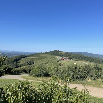 Carter Mountain Orchard - Views - Pick Your Own Farms Near Me - Charlottesville, Virginia