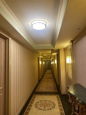 The Caroline by null