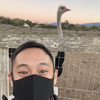 Ostrichland USA - Attraction Farms Near Me - Solvang, California