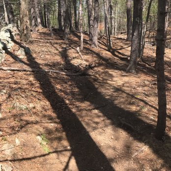 Willowdale State Forest - Hiking Near Me - Ipswich, Massachusetts