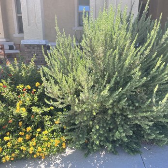 G & J Pro Landscaping - Landscaping Near Me G & J Pro Landscaping - Landscaping Near Me