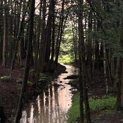 Lakeside Campground