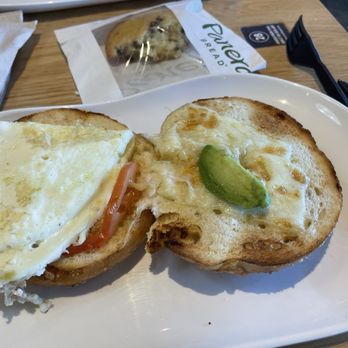 Panera Bread - Garden Avo & Egg White Sandwich - Sandwiches Near Me - Livonia, Michigan Panera Bread - Garden Avo & Egg White Sandwich - Sandwiches Near Me - Livonia, Michigan
