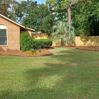 Cesar Lawn Care - a view of a backyard - Lawn Services Near Me Cesar Lawn Care - a view of a backyard - Lawn Services Near Me