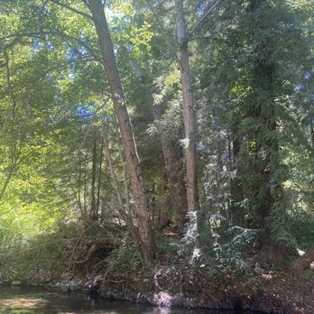 Big Sur River Inn - River Seating - Hotels Near Me - Big Sur, California