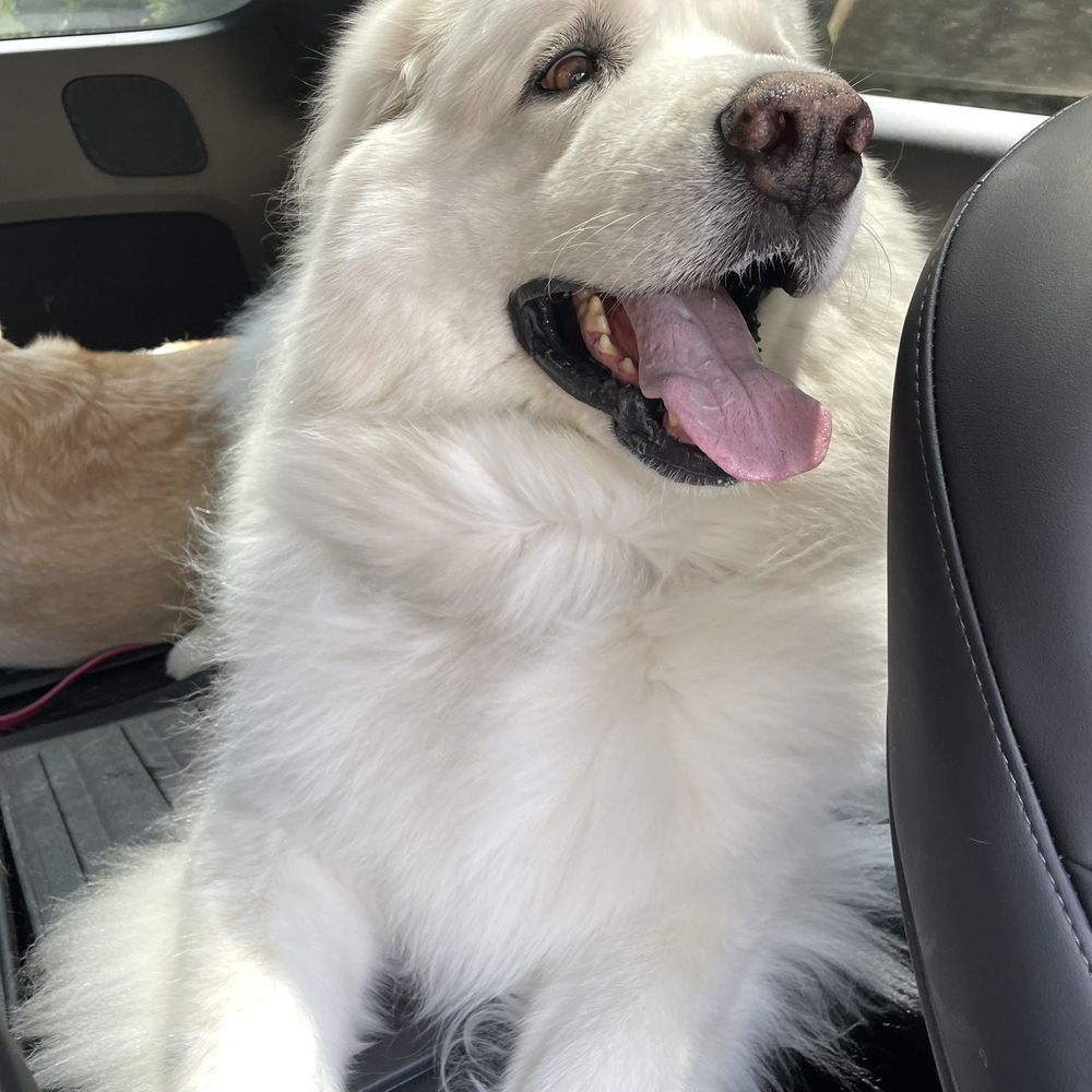 So happy post-groom!!