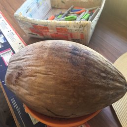 US Post Office - A coconut + sharpies/paint... Time to decorate and send off! - Post Offices Near Me - Hoolehua, Hawaii