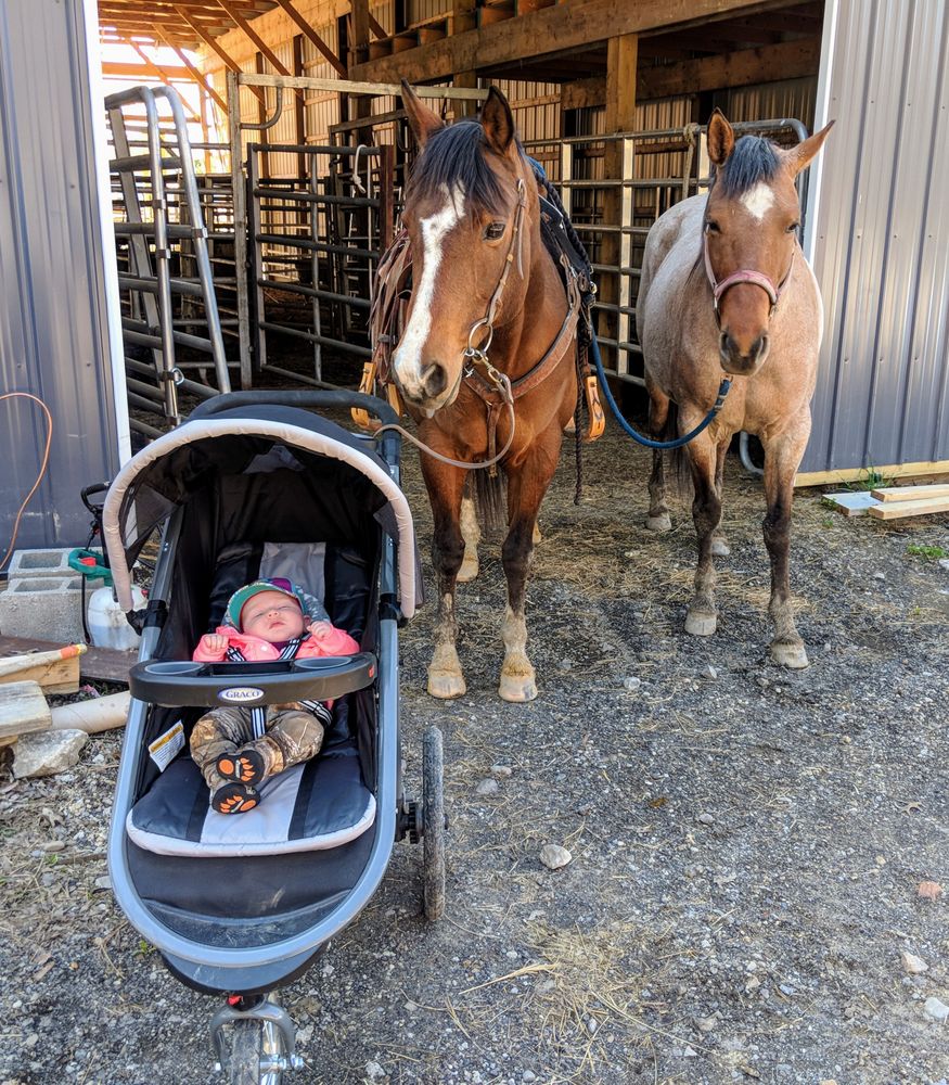 A & I Trail Rides - equestrian in Newton Falls, OH