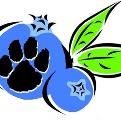 Hammonton Dog Park - Our Logo