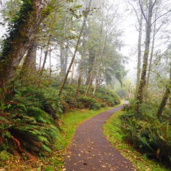 Cape Disappointment State Park - Path up to lighthouse - Parks Near Me - Ilwaco, Washington Cape Disappointment State Park - Path up to lighthouse - Parks Near Me - Ilwaco, Washington