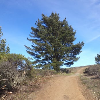 Sweeney Ridge - Parks Near Me - San Bruno, California Sweeney Ridge - Parks Near Me - San Bruno, California