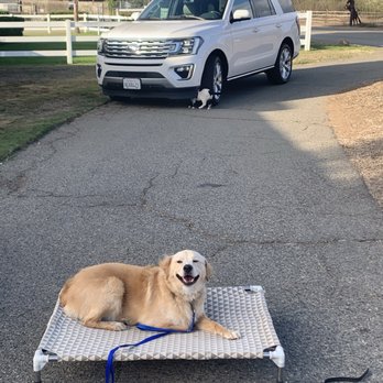 Paws Learn In Paradise - Pet Training Near Me - Valley Center, California Paws Learn In Paradise - Pet Training Near Me - Valley Center, California