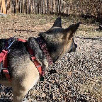 Rumor Brewing - formerly Ale Republic - Dog friendly outdoor seating - Breweries Near Me - Cedar Crest, New Mexico